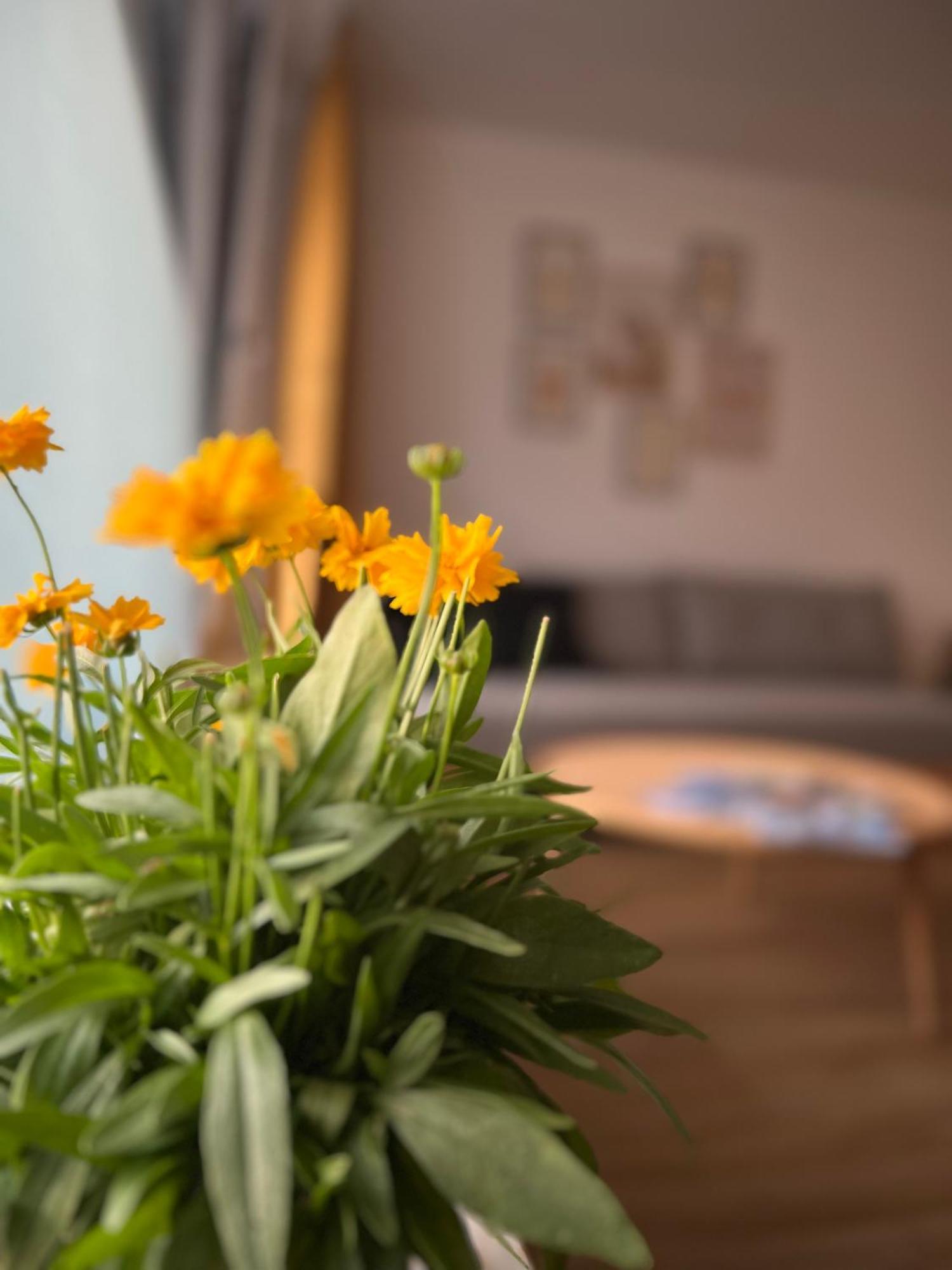 אוברשטאופן Ferienwohnung Sonneck מראה חיצוני תמונה
